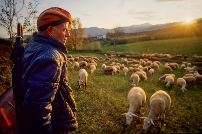 Vida rural en Cataluña